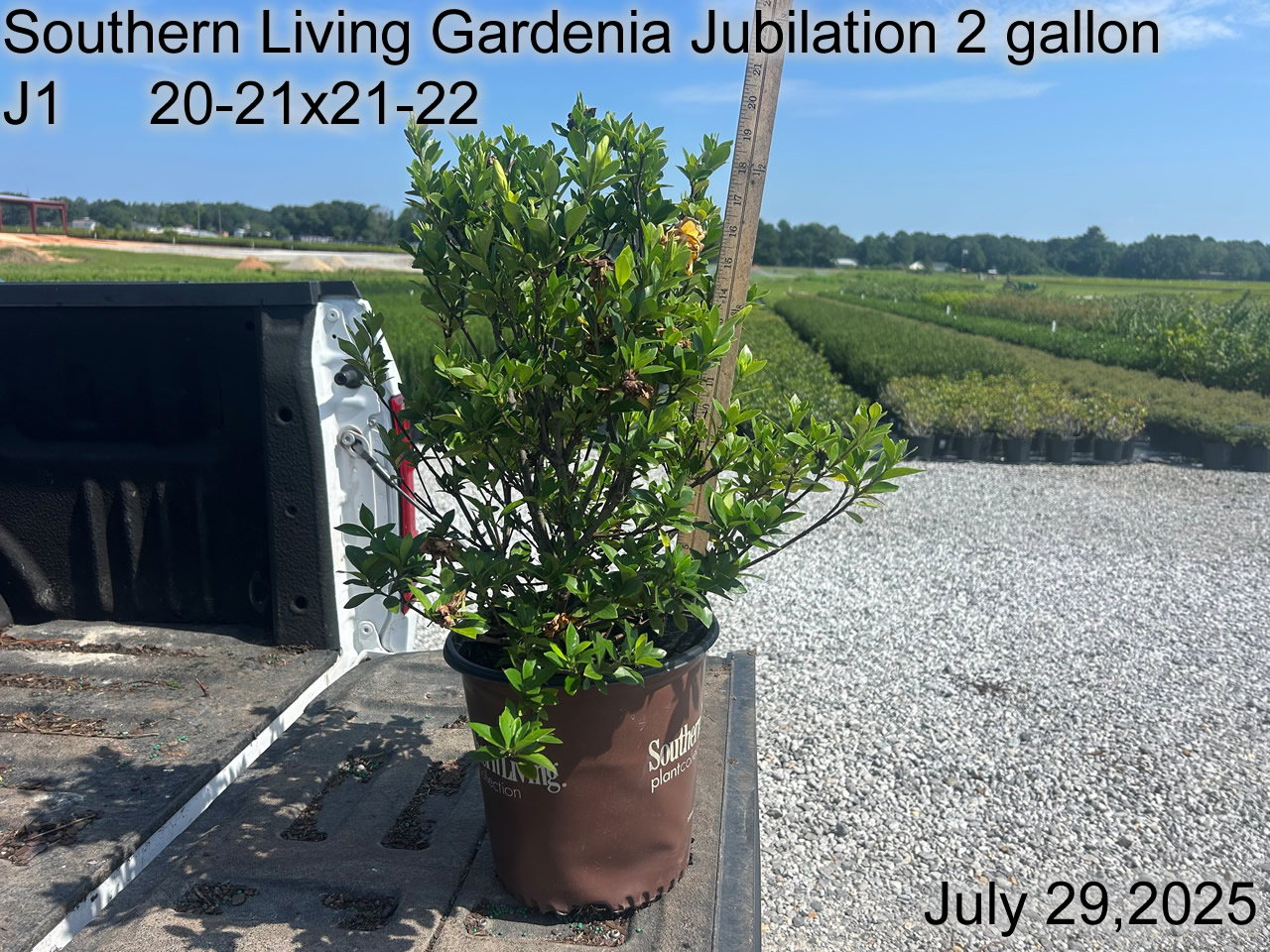gallery/slgj2 j1 july25.jpg